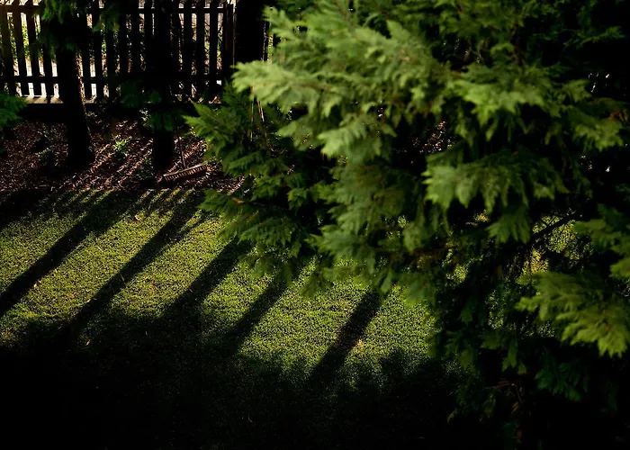 Oliver 3 * シオーフォク